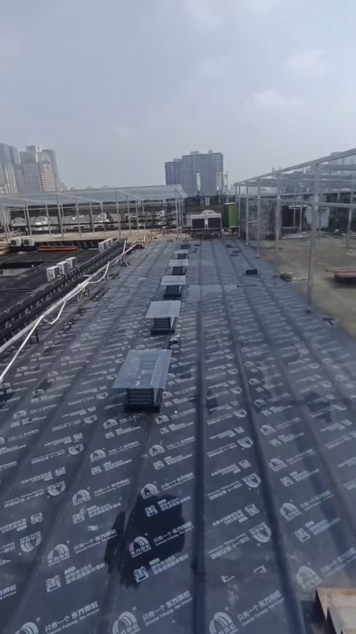 ϺƼ@ _l(f)^(q)©ˮBˮS