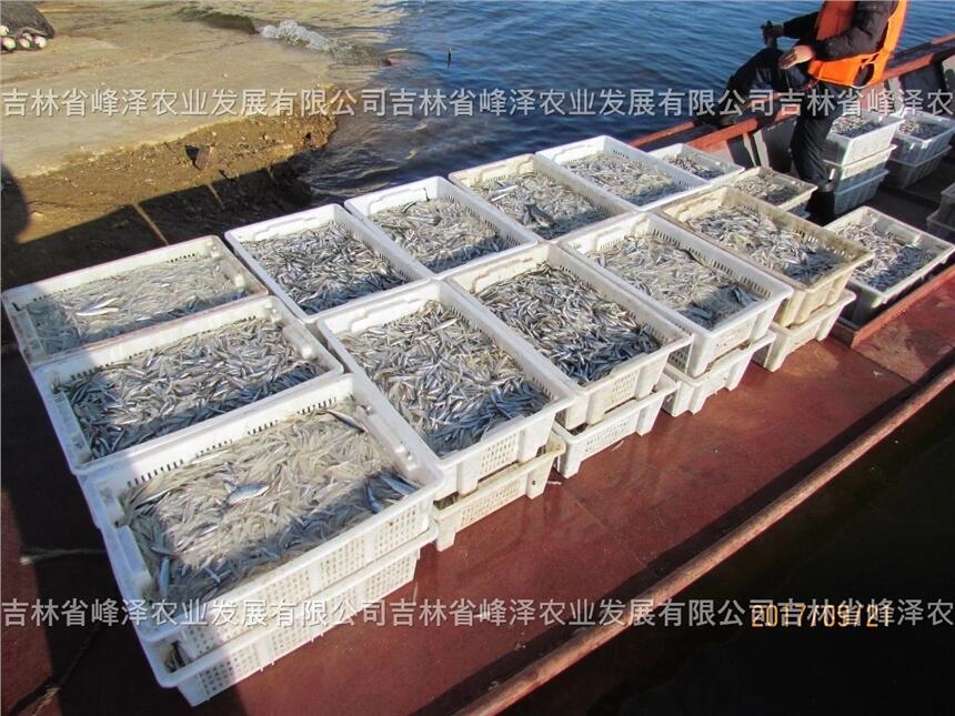 l~ѣӹ~˹ֳأӹ~ԭal