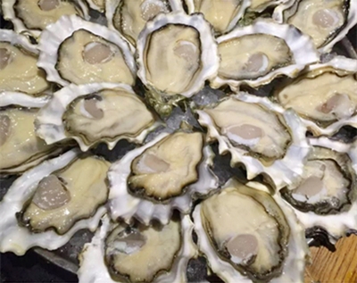 Rɽϖl(f)-W(wng)t߉ϖB(yng)ֳl(f)