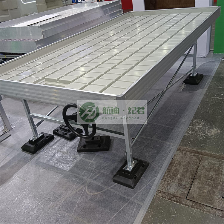 ϫƄ紲 Ƅ紲---紲a