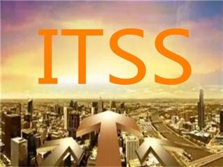 ʝITSSJ(rn)CȥkҪʲôl?