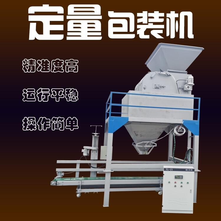 ZʳNӶC(j)е QؿpC(j)