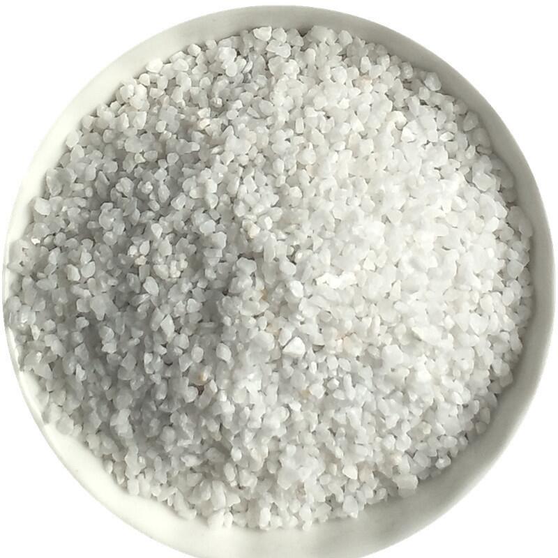 ѩ ѩײɰ ѩ׃r(ji) ѩ׏S ɳ ɰ ɰ