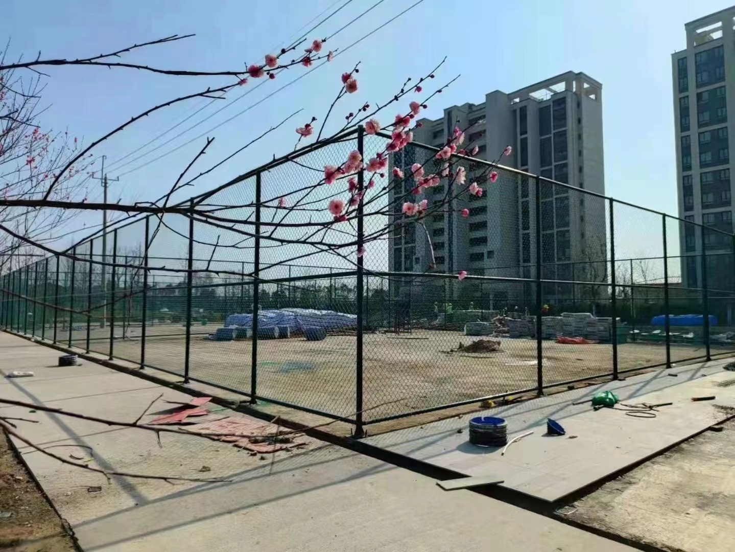 ϝW(wng)wظxW(wng)ڹW(xu)Уو