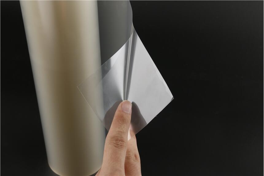 SֱN pet͸pӱoĤ PETλzoĤl