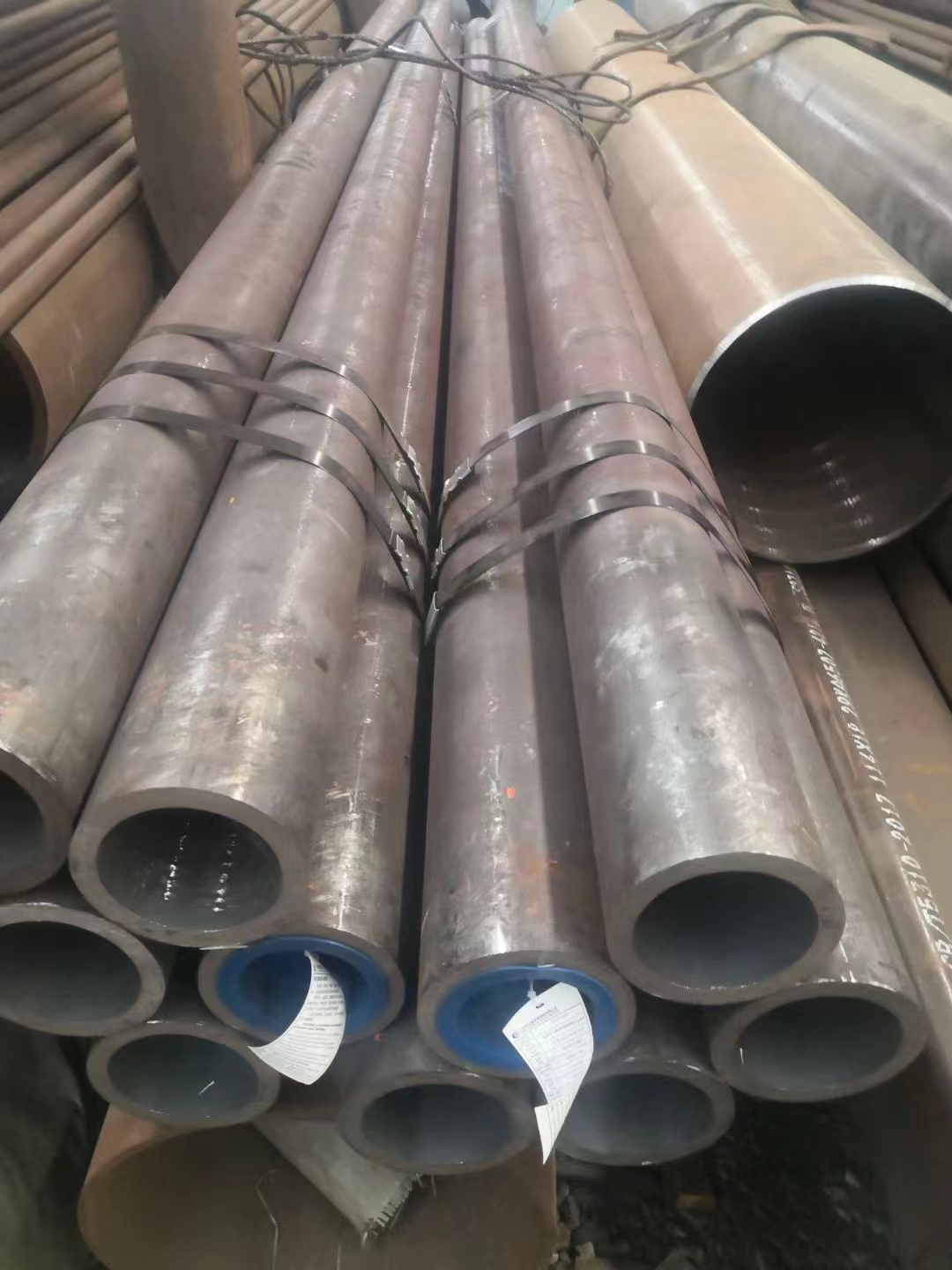 KoaA333Gr.6͜؟op܏S͜عܣ͜䓹