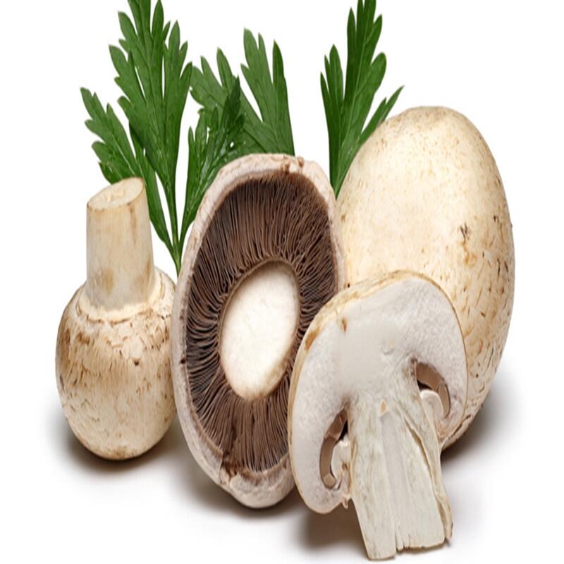 ʳþʯ  r(nng)I(y)(j)ˮ}