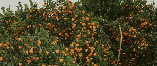 (li)e(yu)|(zh)-ɳǽ硾(li)eй-ɳǽu(li)eǽ