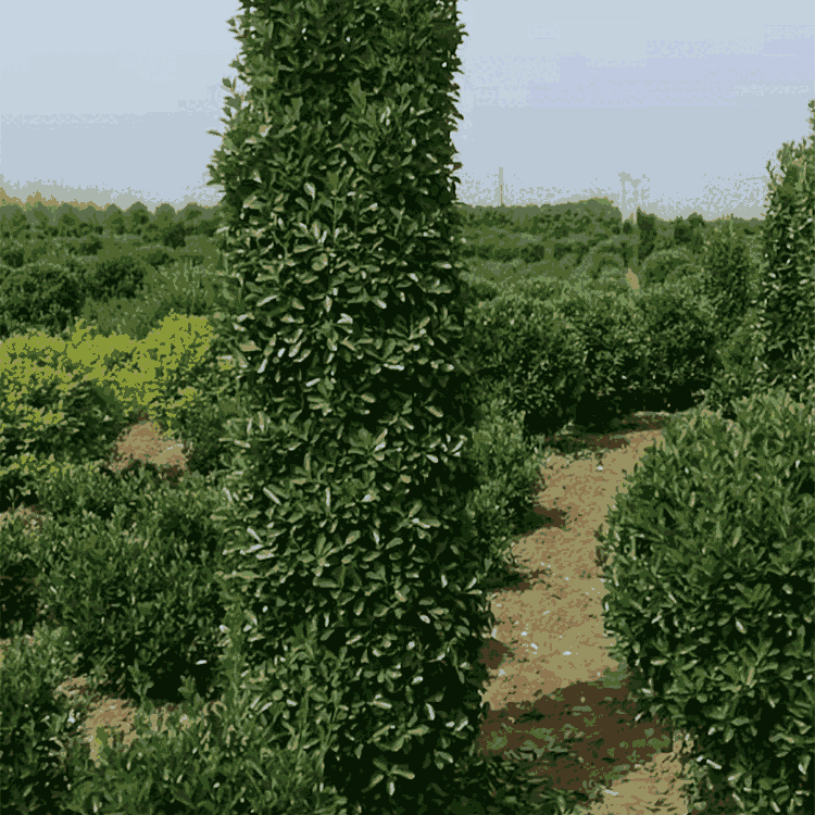 1.8״~S ~Sr񃞻 ɻʸ