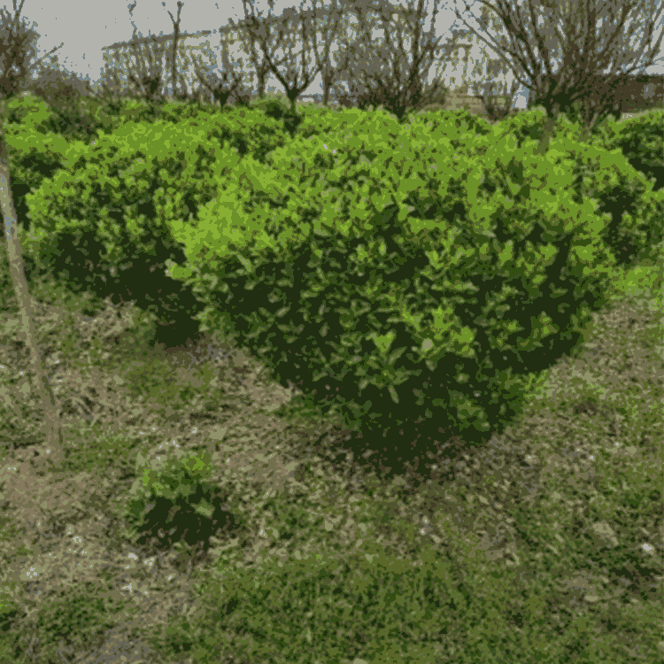 Gl(wi)ì  ~Sr  h(hun)(yu)Խ  ɻʸ