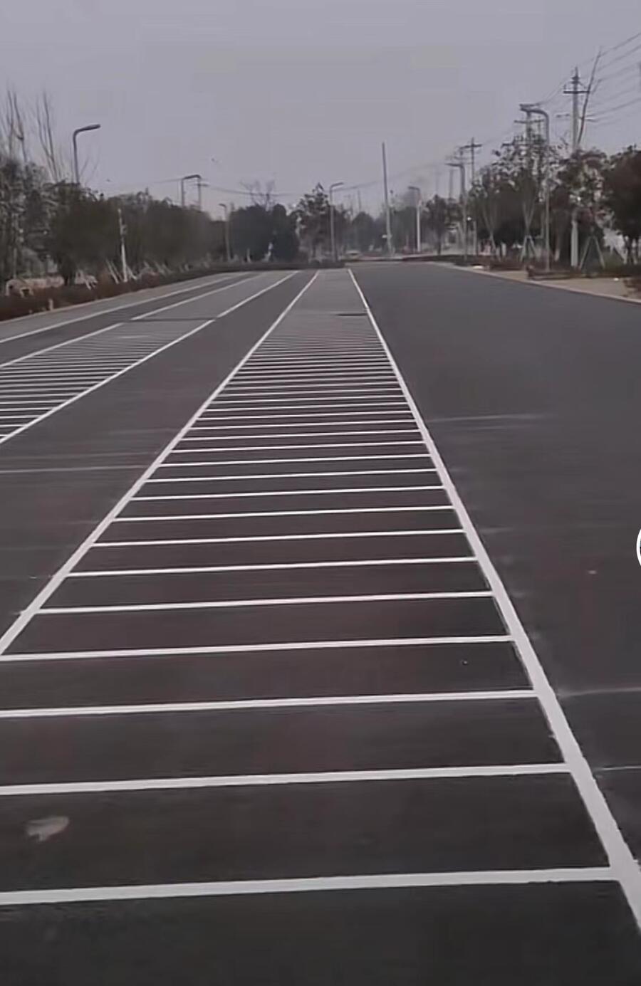 Ͼ·-ͣ܇λ(bio)-S׵{(ln)ͣ܇λ