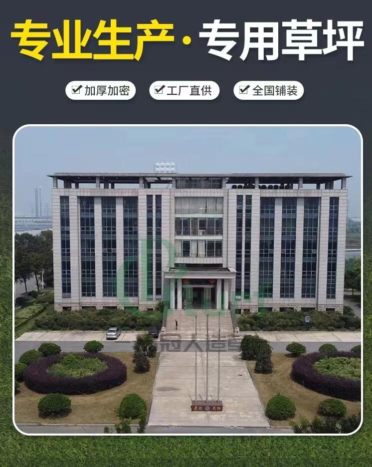 ĴƷڃ(yu)wl(f)չ޹˾