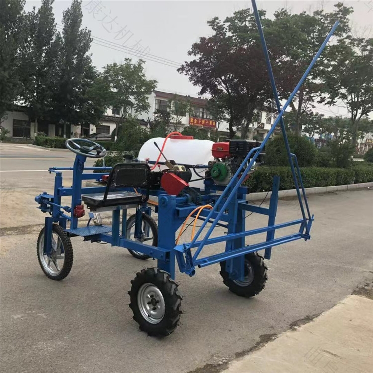 I ʽС݆ˎC 10׌ۯBUˎC