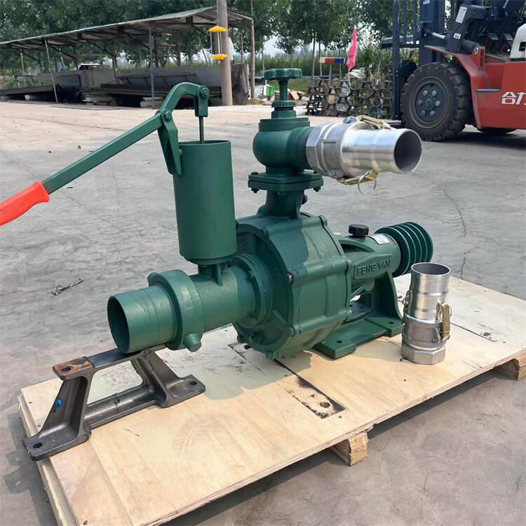 ˮCŝ2͙Cˮö๦ٱ{6ˮˮõͺ