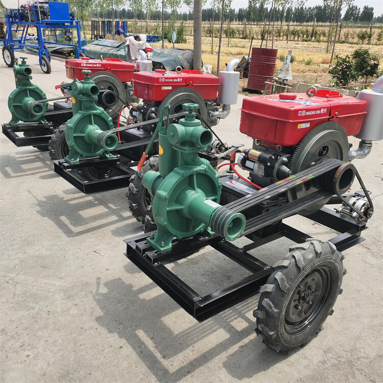 ߓP̸߉͙C͙C6ˮˮõͺ