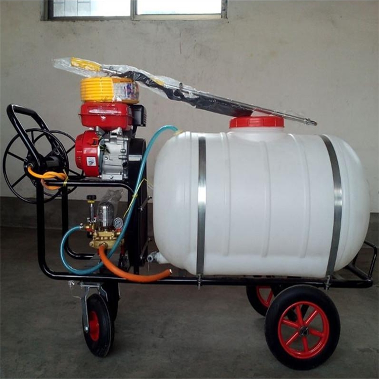 ˎC 100-400ˎͰˎC ˎCf