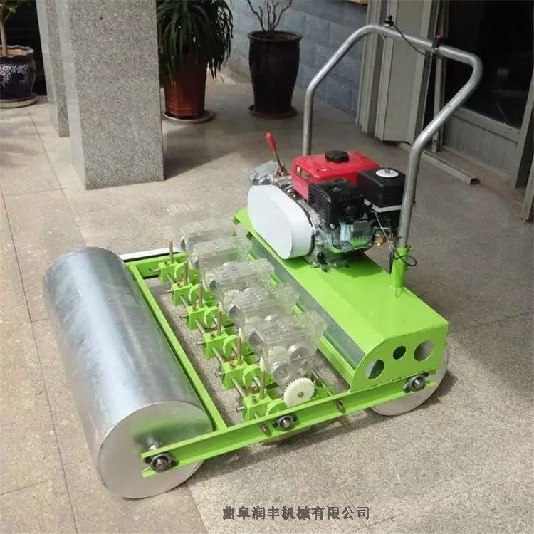 ߲˲NC ʡcC ȫԄͲ˲C