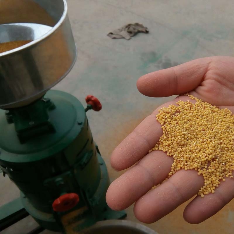 יC Դ^Sֱ๦ܼZʳȥƤיC