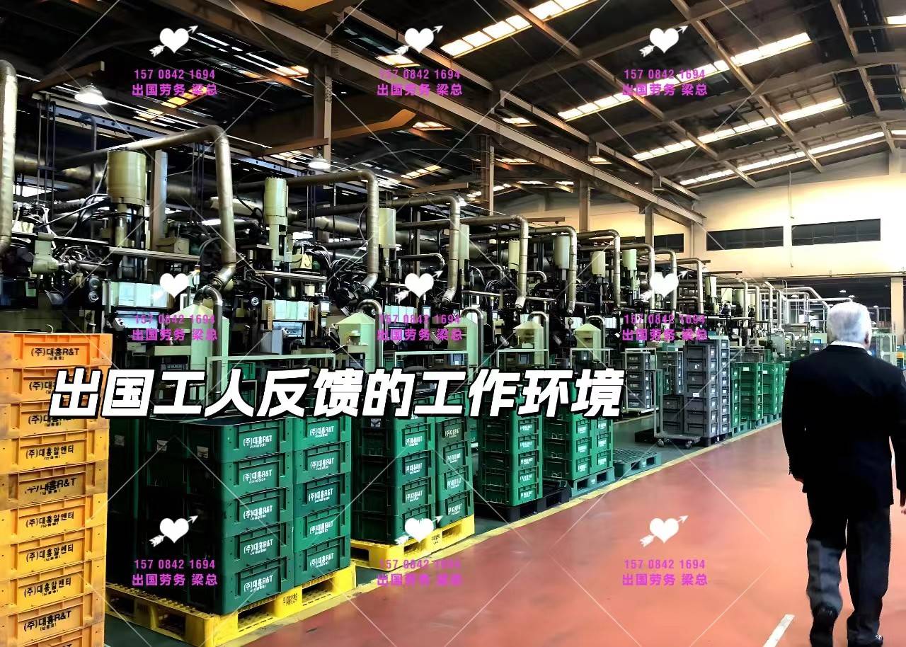 (ji)ӢI(y)˾C(j)ȱ g55q(ni)Ů