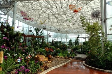 2018NB(ti)͏dɽ|ҽO(sh)\ź|(zh)C