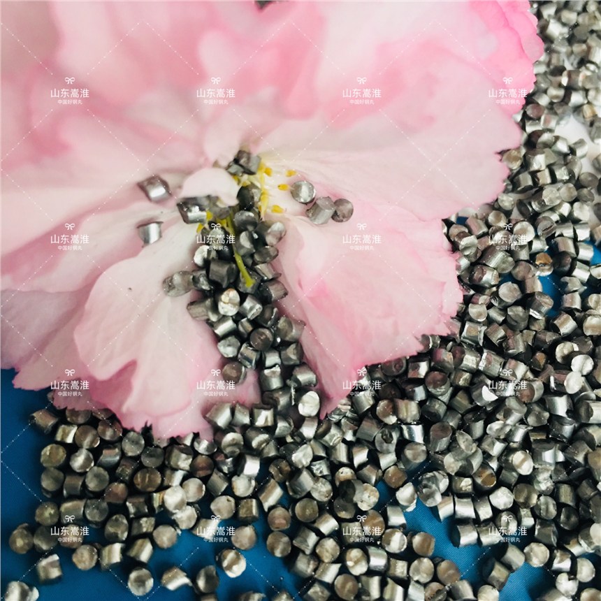 SֱN費P ɰ T費P P 410/430/304