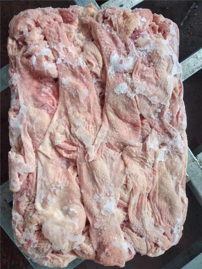 uƤlr_CƤСԭ_ɽ|aSҹ