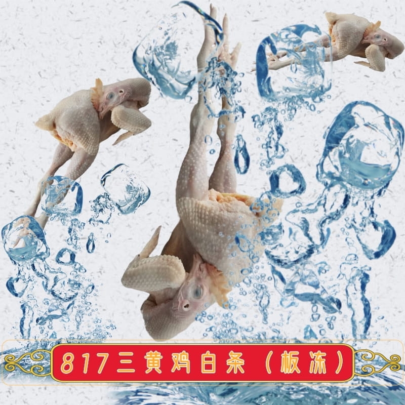 817Suחll(f)r|Su|ɽ|חlua(chn)S