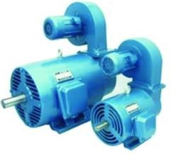 YLJ늙C F؛늙C 늙CS