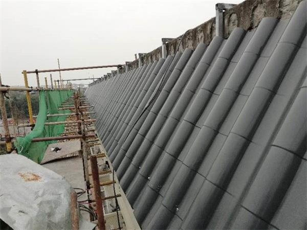 ɽ|¹ŽߏS:XǷr(nng)彨Oʹ