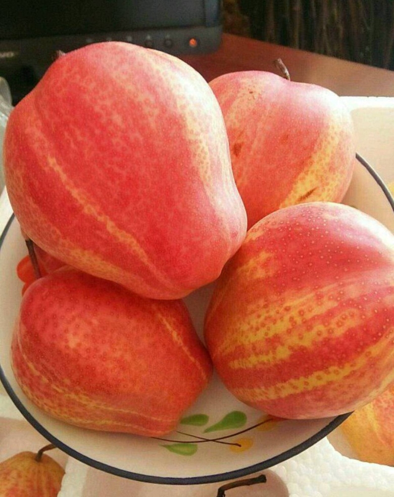 ɽ|Y(ji)Ҙ2019(bo)r(ji)