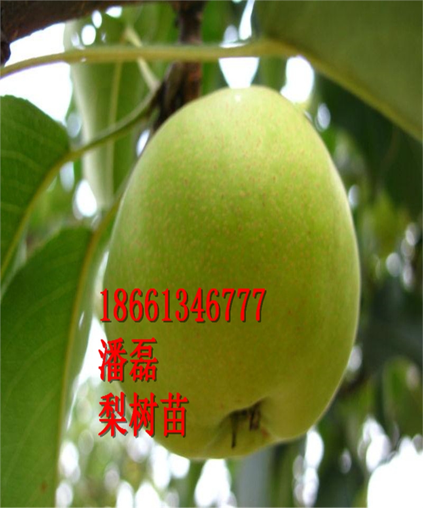 Kһ̖硢Kһ̖ƷNKһ̖r