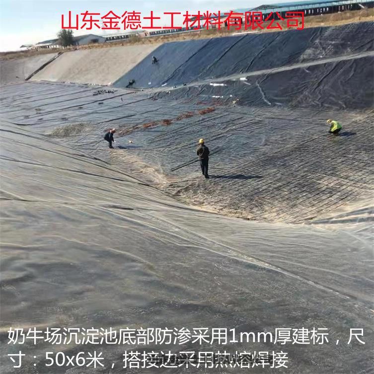 wܷԺ÷81.0Ĥ-wU︲w