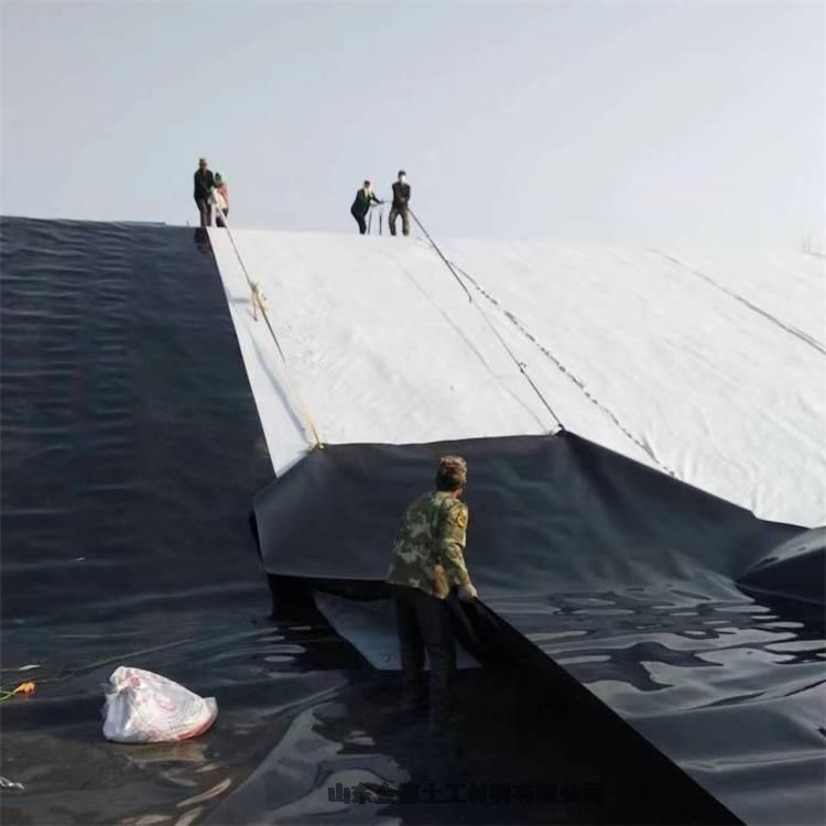 ;ͻ ˮaBֳoHDPEĤ0.75