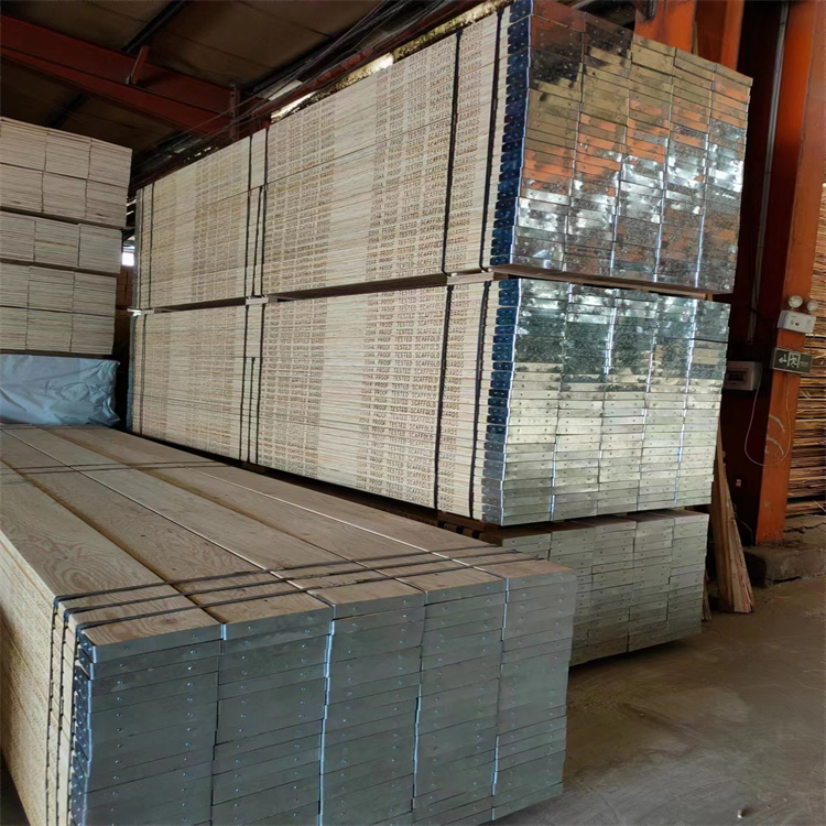 mľAS1577(bio)(zhn)LVL_̤彨ľ̤