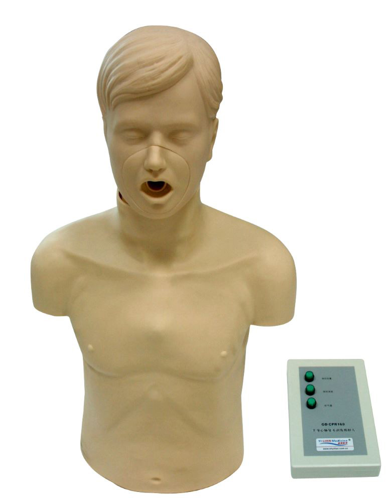 (lin)t(y)W(xu)˚CPRģ