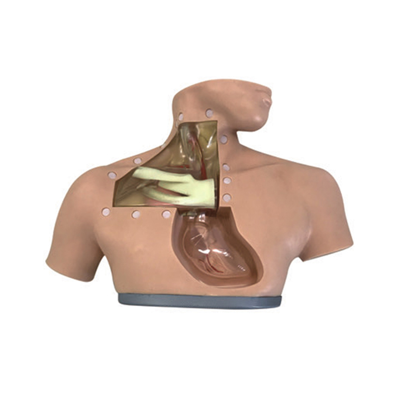 (lin)t(y)W(xu)cI(yng)B(yng)o(h)ģ