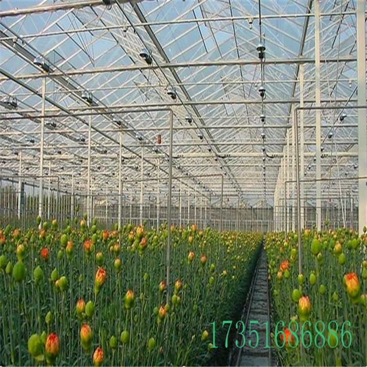 䓹܏S F(xin)؛(yng)  M(fi)ԃ