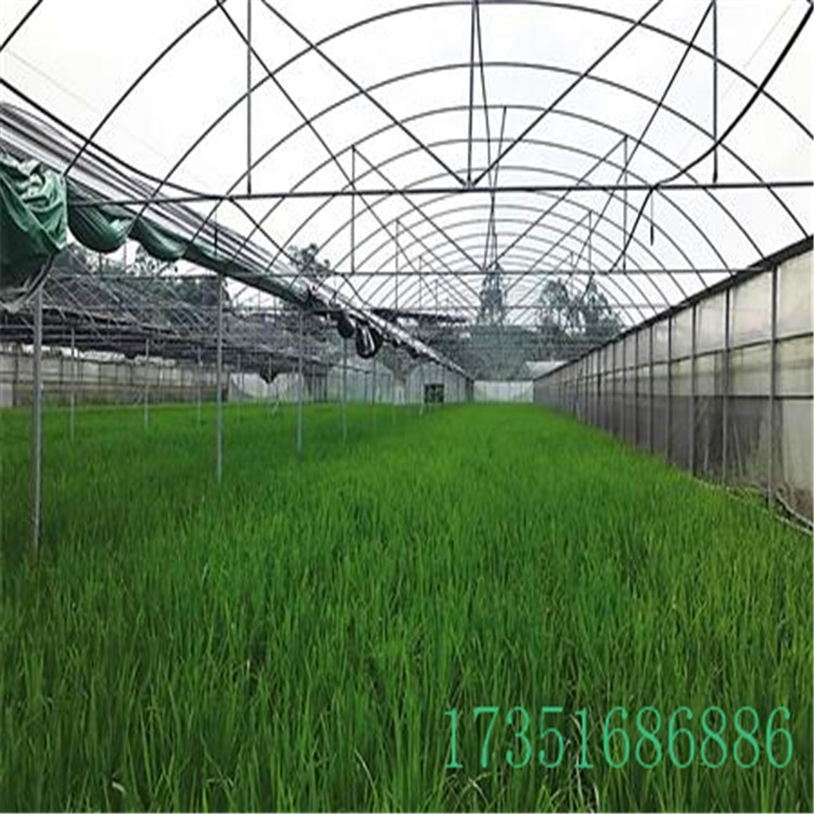 BֳS gӭԃ  24Сrᾀ