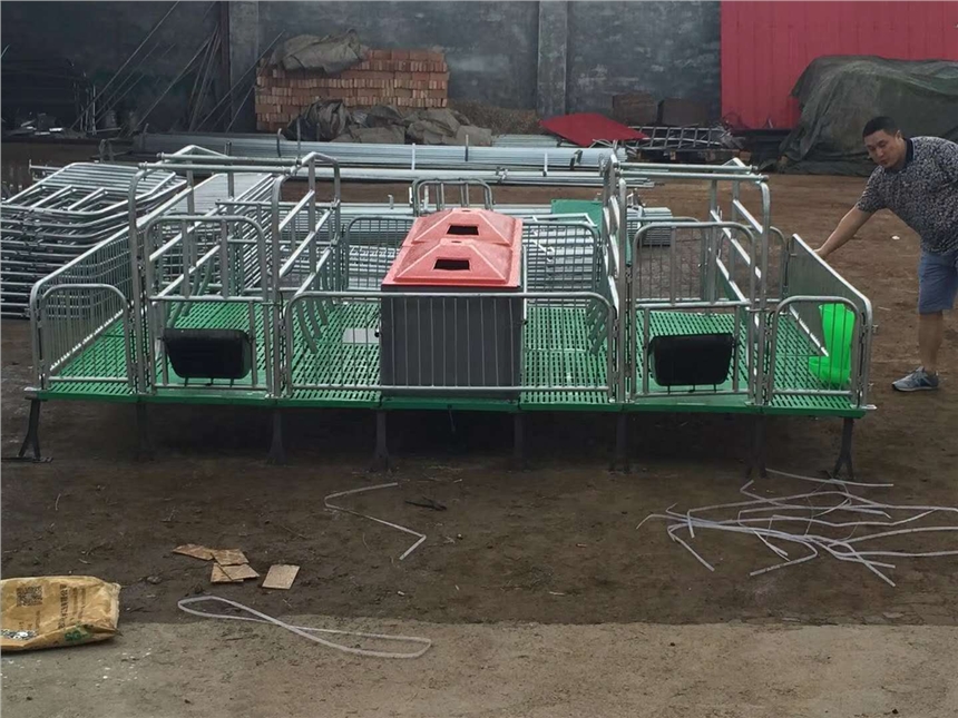 ¿Wʽ\ĸia  ia i\  BiO