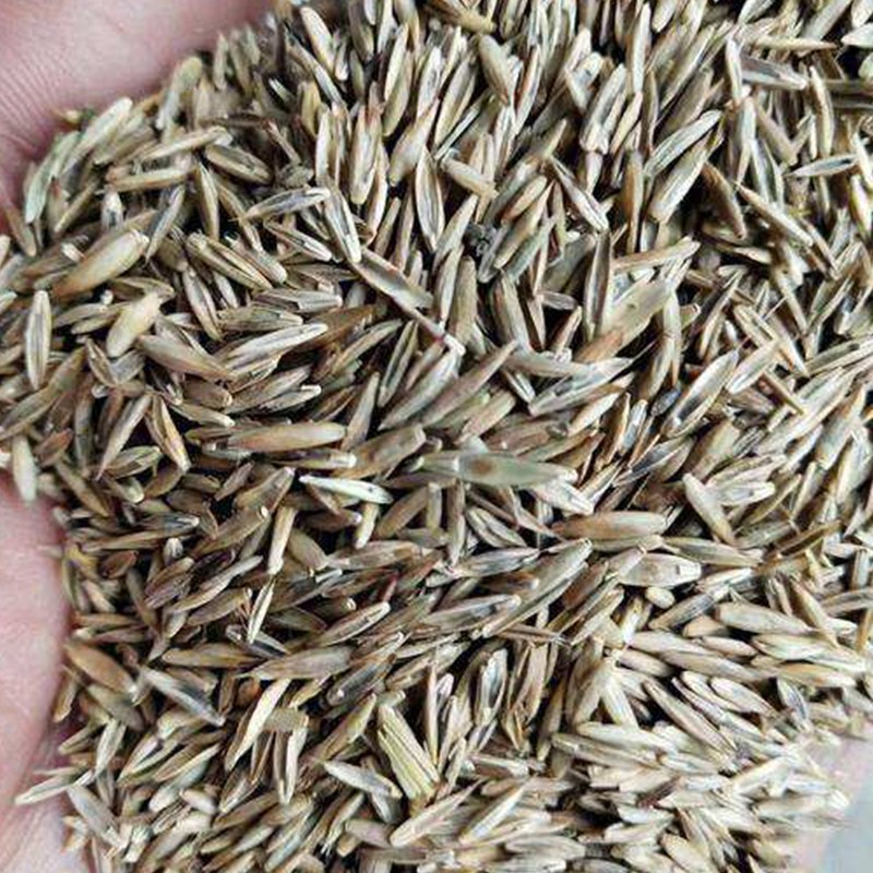 VݷNo¹GòݷNr񃞻ݲ