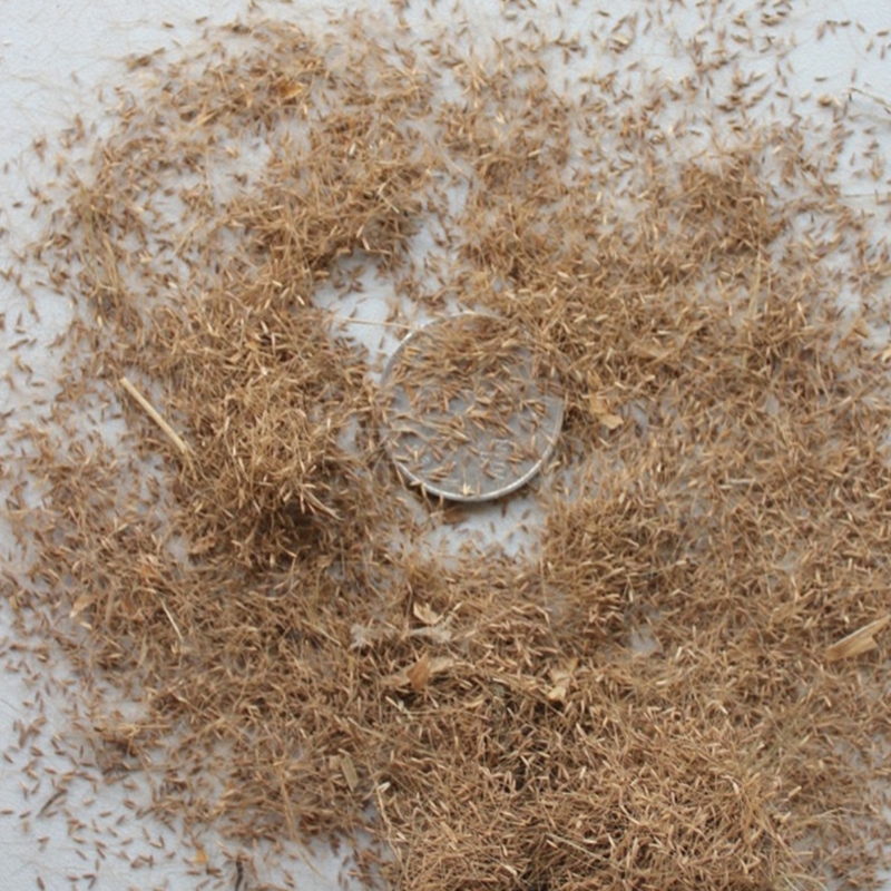 V۲ݷNӶo¾GòݷN۲ݲѸٹ·òݷN