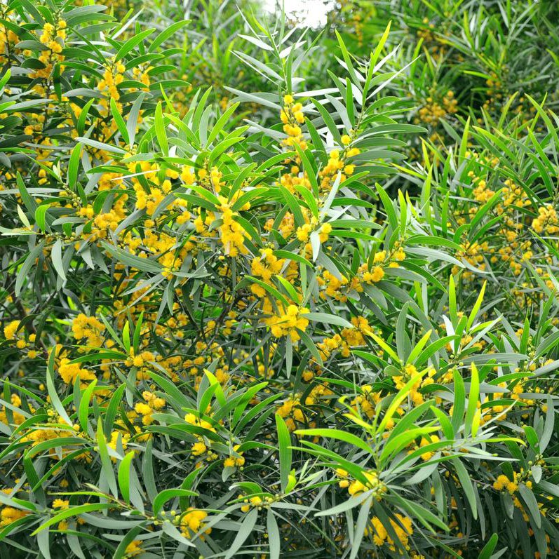 V_˼NӃro¹߅¾GľNlнӵVɽޏ;Gֲ