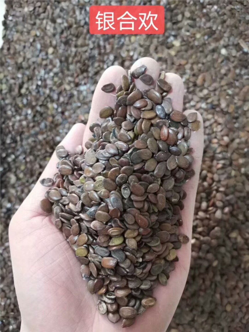 VόyϚgNӃro;GľNlнӸٹ·߅¾Ġֲ