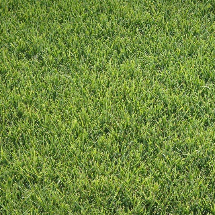 VόéNӃro¹߅¾GòѲݷNlнӵVɽޏ;Ġֲ