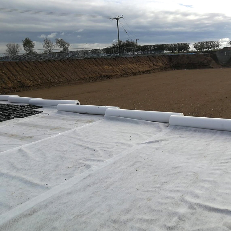 VdBr·ӵBo̽z]ɫᘴ̟o·Bowm