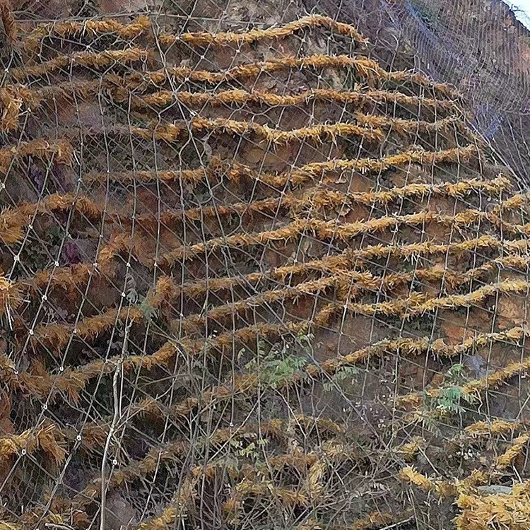 VdBݰӃrнӵVɽޏ͸ٹ·Lվ߅¾G̒Wֲֲ