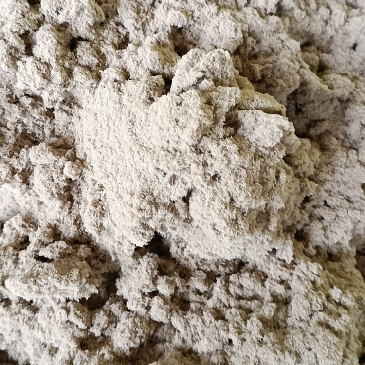 VdB{rнӵVɽޏ͸ٹ·߅¾G̒FzWֲ