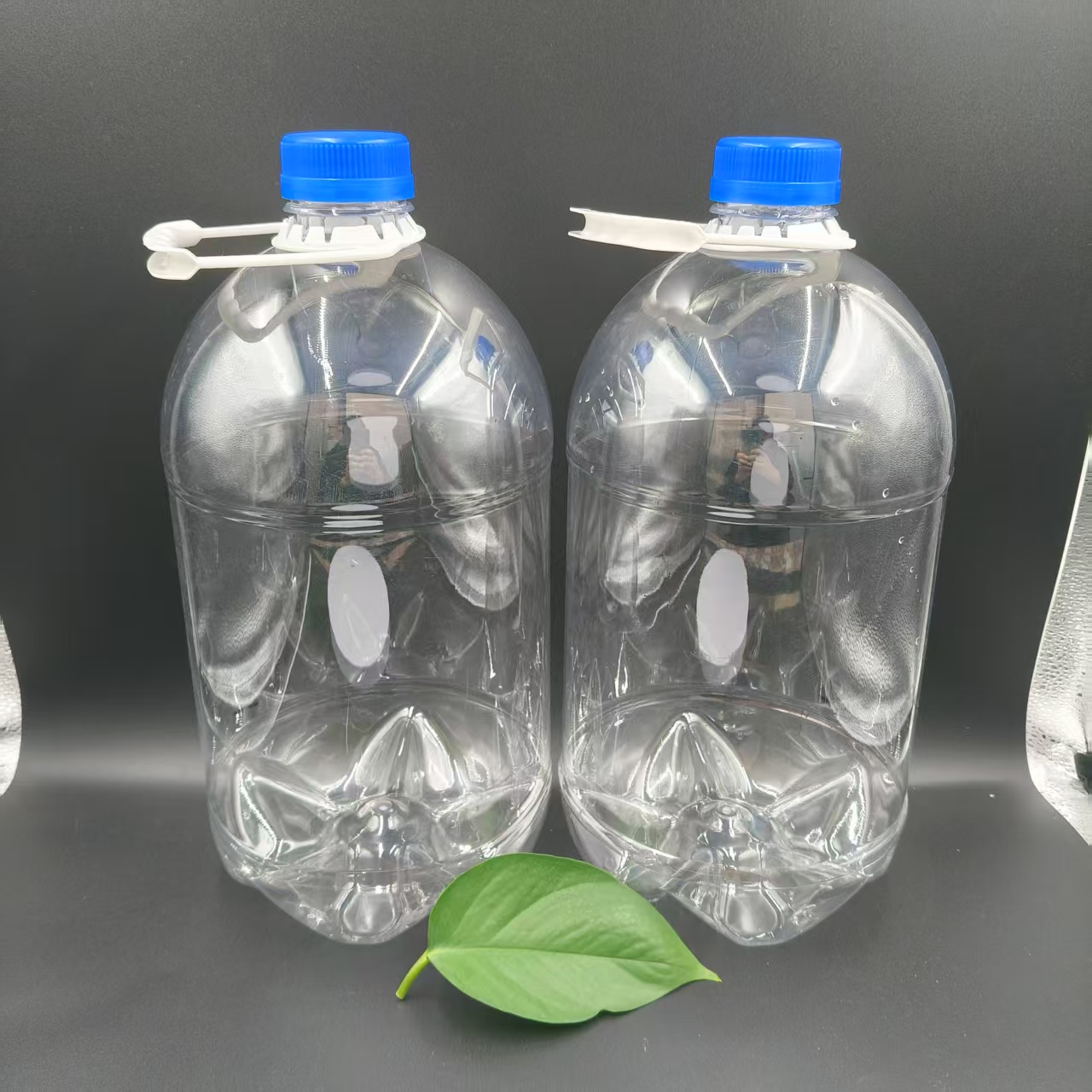 10ɢbbơƿb ͸petʳƷbƿ