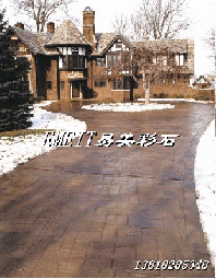 յNO.1ڸˇg(sh)ƺQTMݡBT