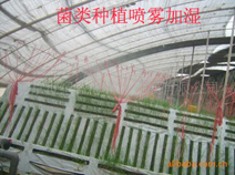 ʳþ߲ԜҴFؼӝˎ˹FC